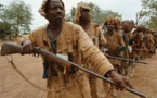 Affaire "Un enfant pris pour un singe, abattu par un chasseur".  Ce qui s'est réellement  passé
