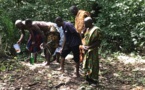 8ème edition d'Adayé Kessiè festival/Les festivités confiées  aux mânes de la forêt sacrée de Kolodio