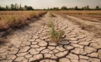 Sécheresse au Togo/ Des populations accusent les sorciers 