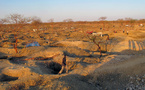 ENVIRONNEMENT /  L'or contre les forêts : la Côte d'Ivoire à l'épreuve de l'orpaillage illégal