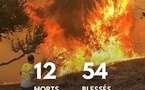 Algérie : au moins 12 morts et 54 blessés dans de violents incendies de forêt dans le nord-est du pays