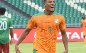 Sébastien sera t-il HALLER au Cameroun ?