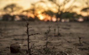 Conflit en Ukraine : le diplomate Américain, Herman Cohen alerte sur le risque d’une ‘’famine massive’’ en Afrique