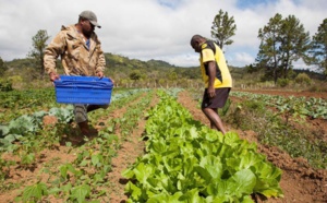 L’ Avenir de l’Agritech se dessine en Afrique