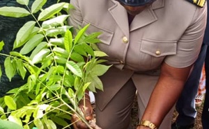 Dabou/Journée nationale de la paix/Les populations invitées à planter l'arbre de la paix et de la cohésion.