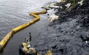 Environnement/ Des produits d'hydrocarbures déversés sur le plan d'eau maritime à Azuretti et Modeste.