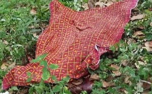 Kounahiri/ Homicide/ Un paysan tue trois personnes et se fait lyncher à mort