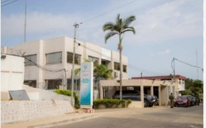 229 millions sur son compte, des villas, de l'hévéa et du koutoukou : l'instituteur qui a tout à expliquer au PPEF