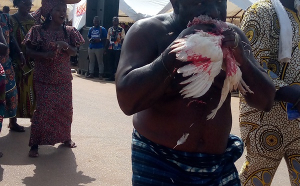 Cérémonie de clôture du festival Lodjoukrou/Un sorcier  dévore un poulet vivant sur scène.