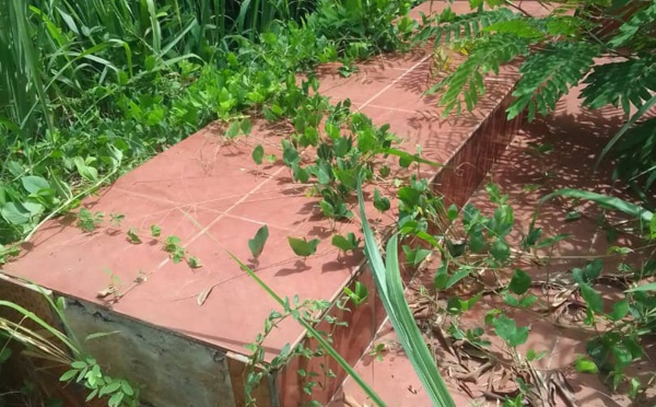 L'artiste Akézo mort en 2003/  Sa tombe envahie par les hautes herbes