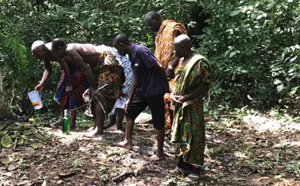 8ème edition d'Adayé Kessiè festival/Les festivités confiées  aux mânes de la forêt sacrée de Kolodio