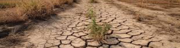 Sécheresse au Togo/ Des populations accusent les sorciers 