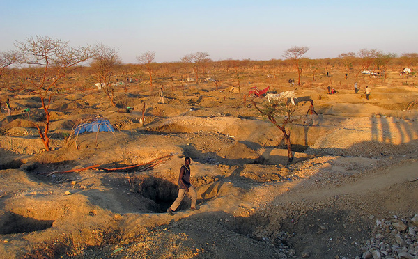 ENVIRONNEMENT /  L'or contre les forêts : la Côte d'Ivoire à l'épreuve de l'orpaillage illégal