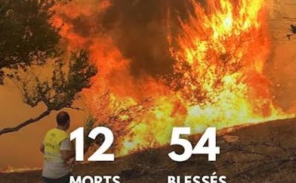 Algérie : au moins 12 morts et 54 blessés dans de violents incendies de forêt dans le nord-est du pays